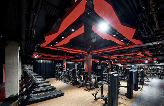 Tulip Apartments - Photo 27