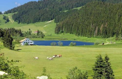 Charme et quiétude au cœur du Haut-Jura - Foto 41