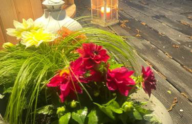 Między Brzozami - Foto 32