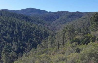 La villa fonbrun au calme - Foto 33