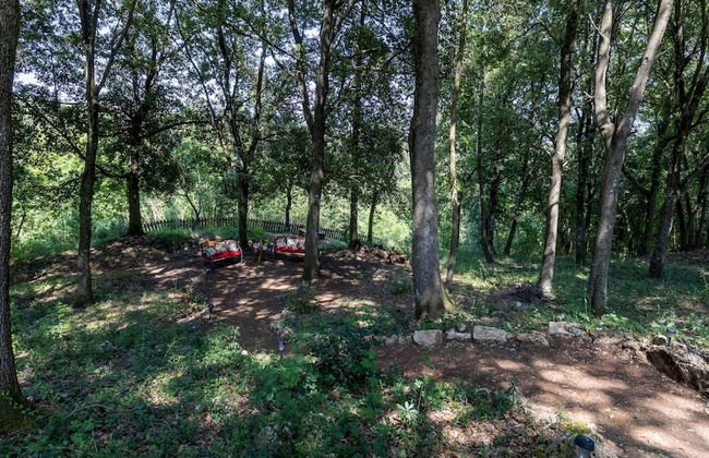 Villa Rinaldi 6 in Carpineta - Foto 60