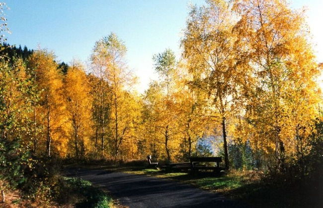 Apartment in Eibenstock - Foto 2