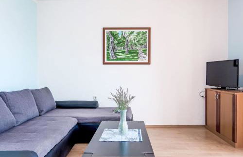 Holiday Home Mara by Interhome - Photo 4