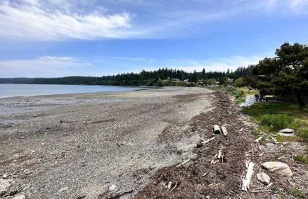 Twin Oaks Retreat by AvantStay Mins to Freeland - Foto 35