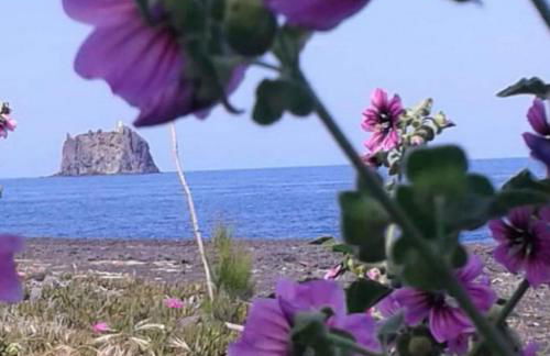 Agriturismo SoleMare - Foto 25