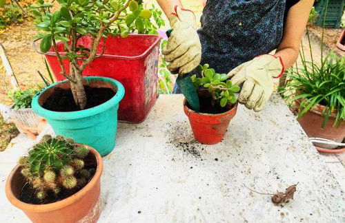 La Casa di Cesarina - Foto 49