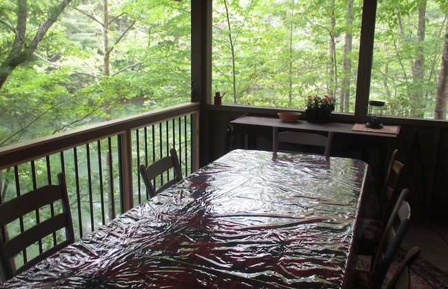 Lake Santeetlah Log Cabin - Foto 10