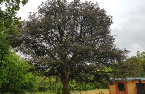 Gîtes du Chêne Vert - Foto 24