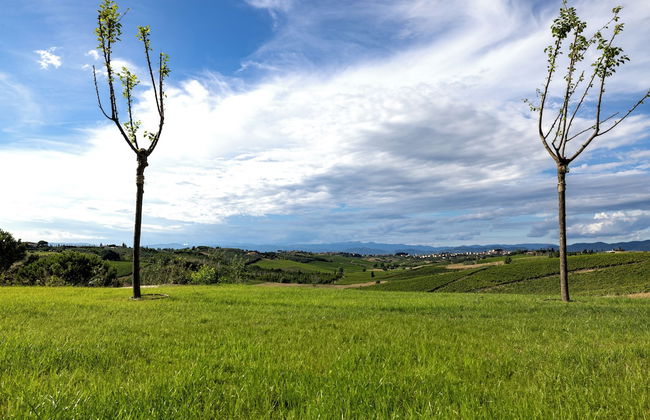 Colle Alberti Country House - Foto 72