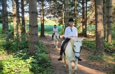 Studio apartments Kaya - Foto 54