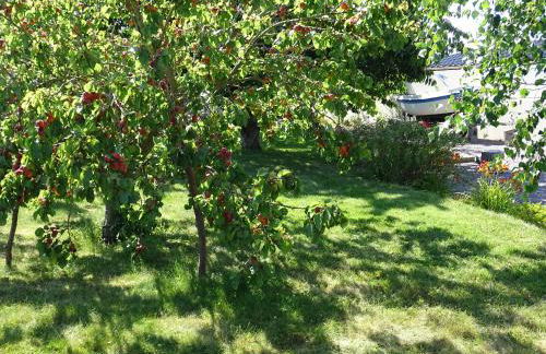 Le Cottage " Village de La Ruée " Location de vacances - Foto 19