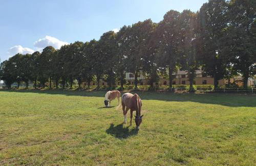 Agriturismo Relais Tenuta il Cigno - Foto 95