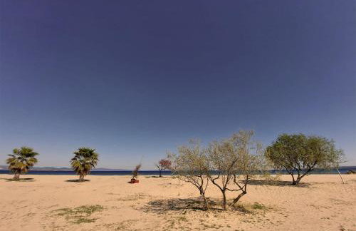 Flamingo View Suites & Villas - Photo 66