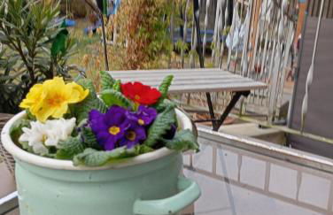 Wohnung im Grünen in Messenähe - Photo 32