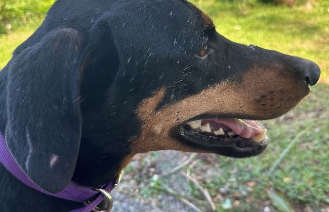 VILA DEL MARE - Foto 64