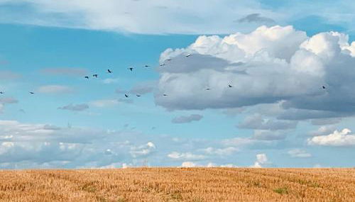 Helle Loft mit eingenem Garten - Foto 4