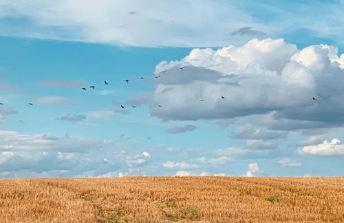 Helle Loft mit eingenem Garten - Photo 4