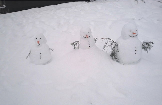 Splendid Holiday Home in Untervalme near Ski Area - Foto 15