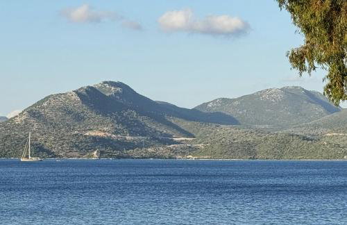 Villa Episkopos Seaside - Photo 31