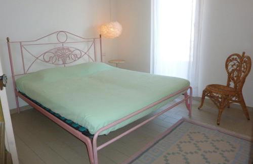 Hermitage mimosa - Photo 7