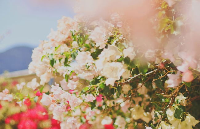 Aqua Vista - Foto 20