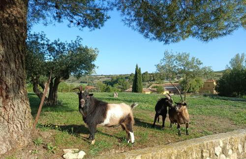 CASAS RURALES LA LAGUNA, ALPERA - Foto 29