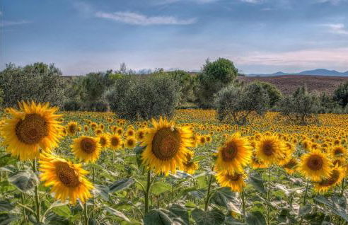 2 Bedroom Nice Home In Orentano - Foto 18