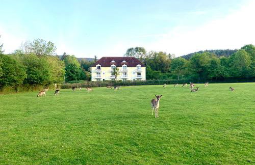Lindners Hideaways - Gutshof Pine Retreat - Sauna - In Villa - Terrasse - Garten mit Rehgehege - Frühstück verfügbar - SKI - Arber - Osser - bis 5 Pers - Photo 25