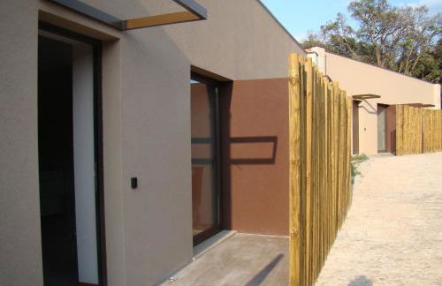 Bosque da Harmonia - Foto 75