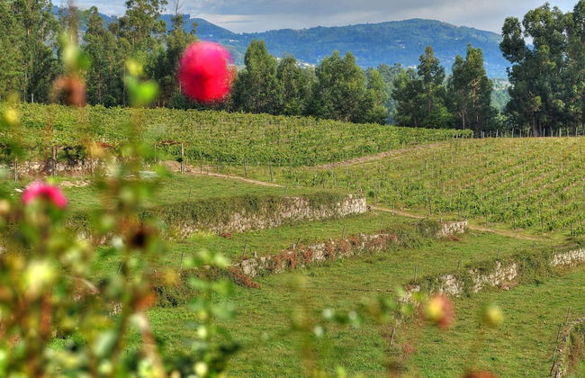 Holiday Home in Ponte de Lima With Pool - Foto 17