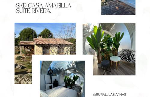 SKD Casa Amarilla Suite Rivera - Photo 18