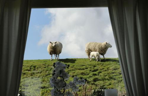 Holiday home with 3 bedrooms - Foto 12