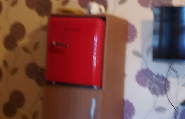 Phoenix Lodge - Photo 17