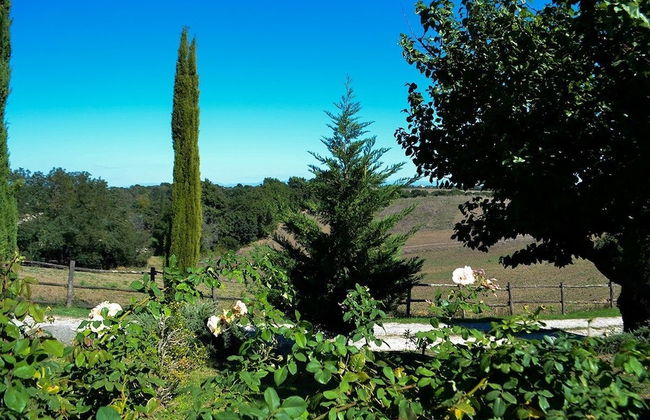 Ars Naturae Biologic Farm - Foto 77