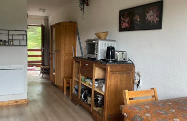 Le ZEN au pied du Grand Veymont en été en hiver - Foto 6