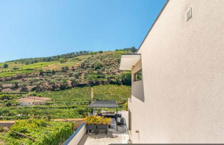 Valadouro Amazing Villa in Douro Valley - Pool - Foto 44