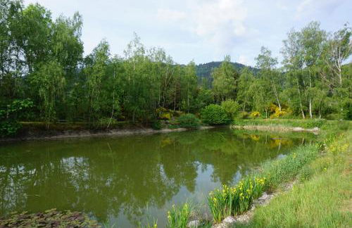 Le gîte et l'étang de pêche - Foto 23