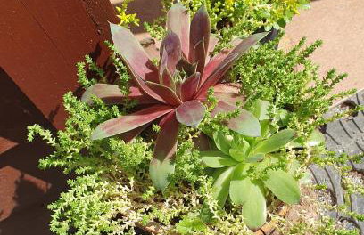 Opawski Zakątek 43 - Foto 57