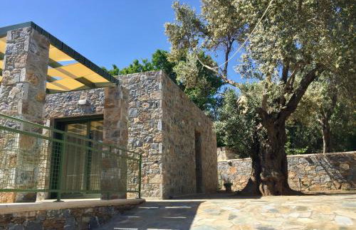 Ouzo Stone Studio - Foto 10