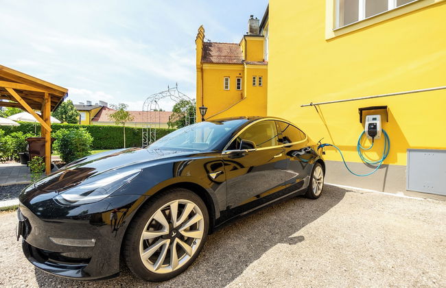 Albizia-Apartments - Foto 66