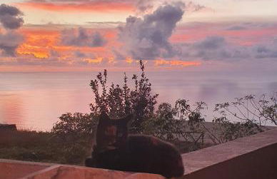 Beautiful View 3 Arco da Calheta - Ilha da Madeira - Foto 10