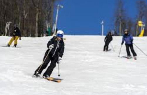 Historic Estate - 5 min to Mohawk Mt Ski Resort - Foto 58