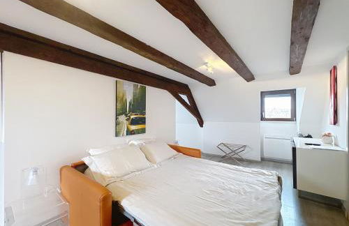 A L'ill - Apparts & Studios Strasbourg Hyper Centre - Foto 59