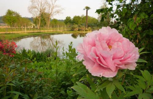 Country House Barone d'Asolo - Foto 80