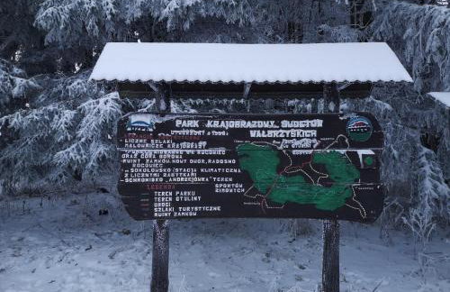 Domek Nasze Miejsce - Foto 35