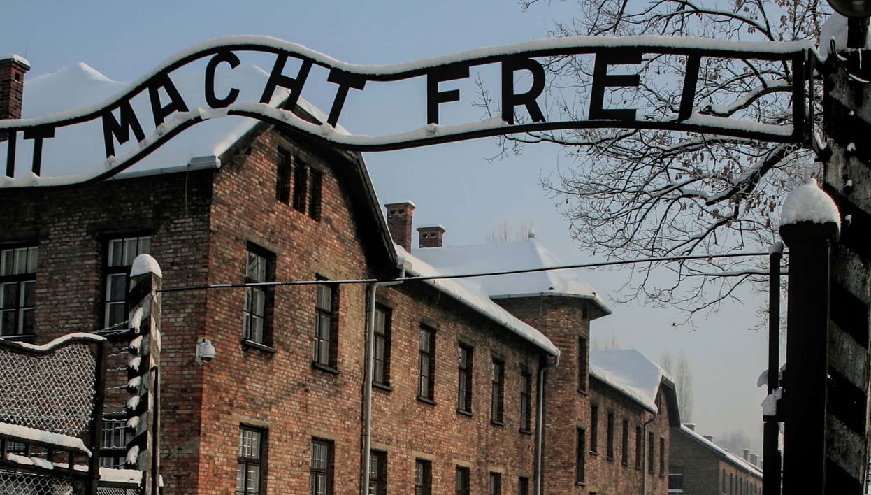 Krakow Combo: Auschwitz and Salt Mine Tour - Foto 1