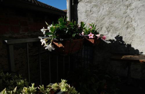 Appartamenti Montemezzo Le Case in Pietra La Torretta - Photo 32