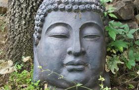 LA CASA d'en RAFEL - Foto 36