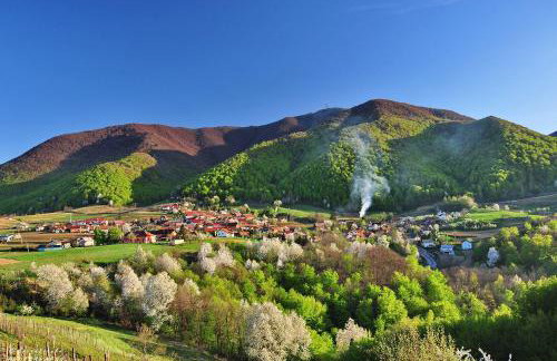 The Cozy Chalet - Foto 68