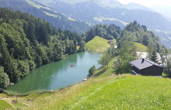 Ferienhaus Schwendehof - Foto 38